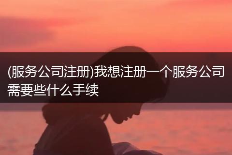 (服务公司注册)我想注册一个服务公司需要些什么手续