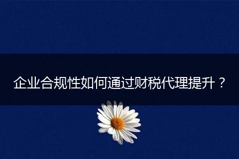 企业合规性如何通过财税代理提升？