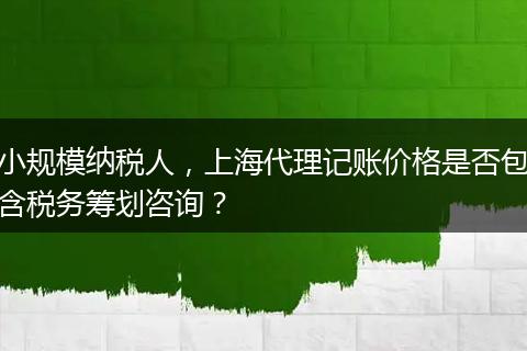 小规模纳税人，上海代理记账价格是否包含税务筹划咨询？