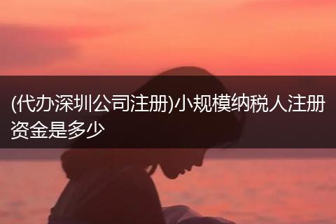 (代办深圳公司注册)小规模纳税人注册资金是多少