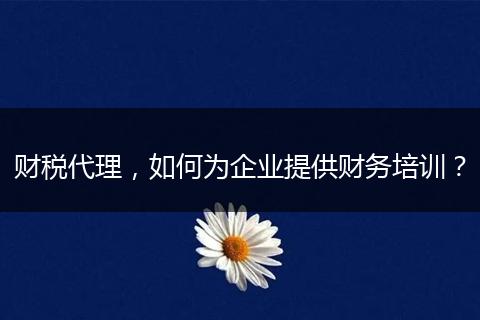 财税代理，如何为企业提供财务培训？