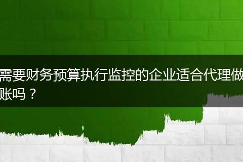 需要财务预算执行监控的企业适合代理做账吗？