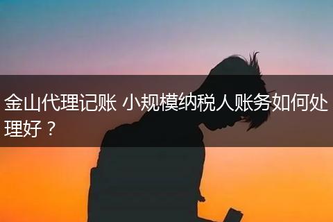 金山代理记账 小规模纳税人账务如何处理好？