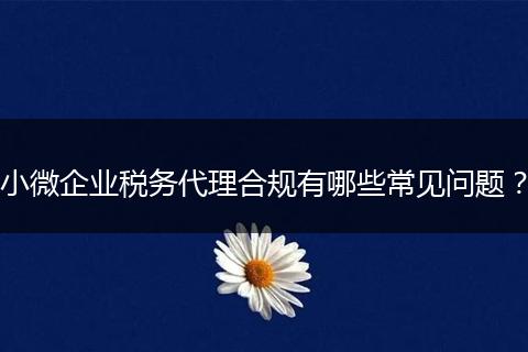 小微企业税务代理合规有哪些常见问题？