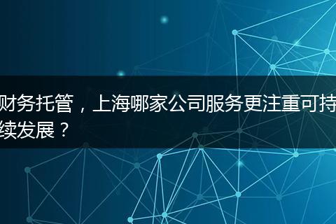 财务托管，上海哪家公司服务更注重可持续发展？