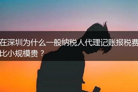 在深圳为什么一般纳税人代理记账报税费比小规模贵？