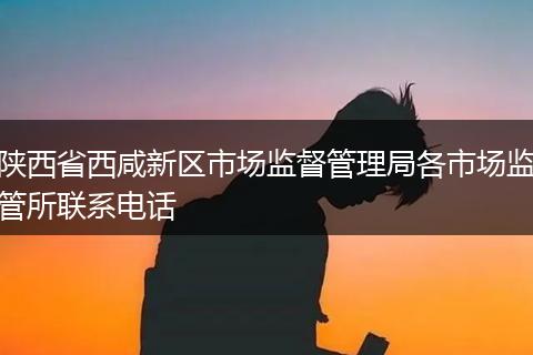 陕西省西咸新区市场监督管理局各市场监管所联系电话