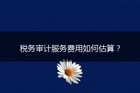 税务审计服务费用如何估算？