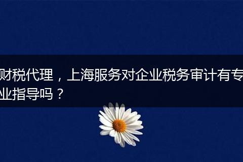 财税代理，上海服务对企业税务审计有专业指导吗？