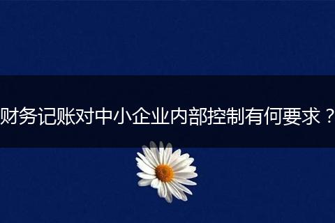 财务记账对中小企业内部控制有何要求？