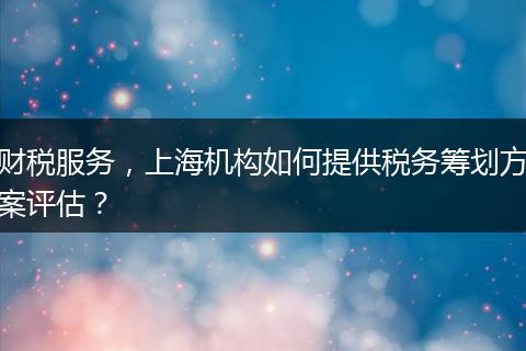 财税服务，上海机构如何提供税务筹划方案评估？