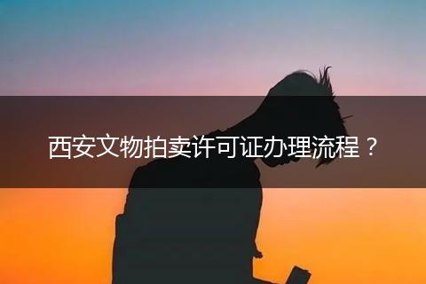 西安文物拍卖许可证办理流程？