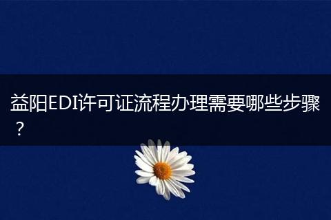 益阳EDI许可证流程办理需要哪些步骤?
