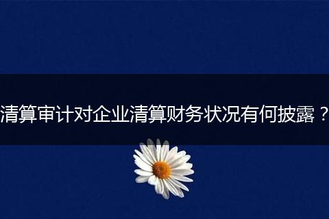 清算审计对企业清算财务状况有何披露？