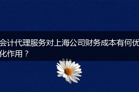 会计代理服务对上海公司财务成本有何优化作用？