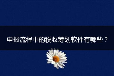 申报流程中的税收筹划软件有哪些？