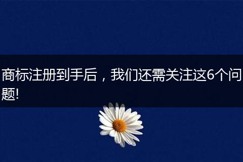 商标注册到手后，我们还需关注这6个问题!