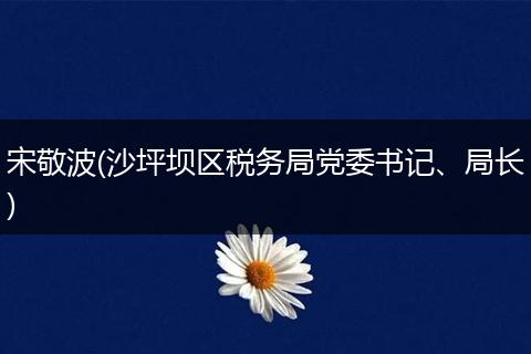 宋敬波(沙坪坝区税务局党委书记、局长)