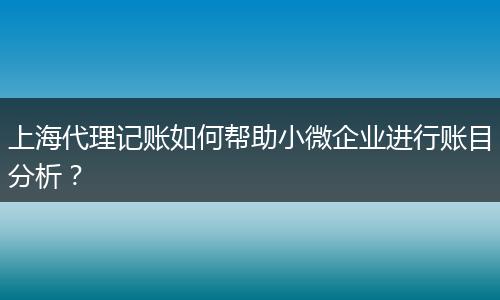 上海代理记账如何帮助小微企业进行账目分析？