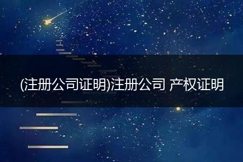 (注册公司证明)注册公司 产权证明