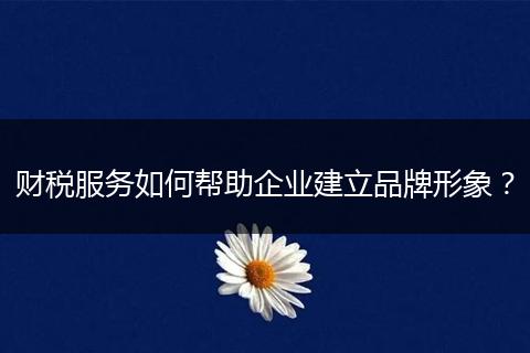 财税服务如何帮助企业建立品牌形象？