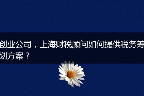 创业公司，上海财税顾问如何提供税务筹划方案？