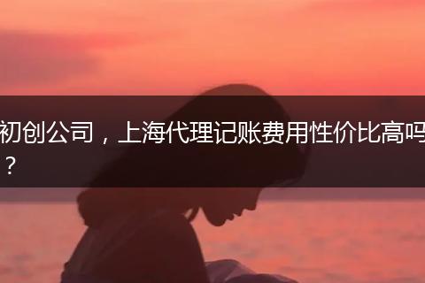 初创公司，上海代理记账费用性价比高吗？