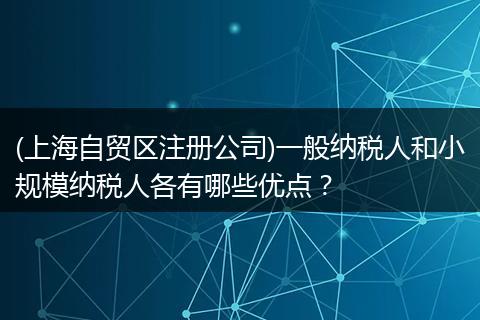 (上海自贸区注册公司)一般纳税人和小规模纳税人各有哪些优点？