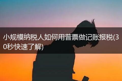 小规模纳税人如何用普票做记账报税(30秒快速了解)