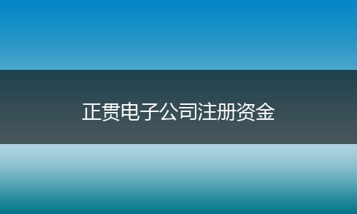 正贯电子公司注册资金