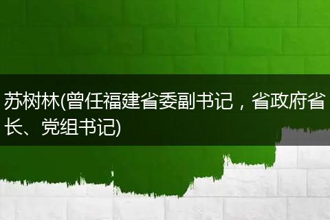 苏树林(曾任福建省委副书记，省政府省长、党组书记)