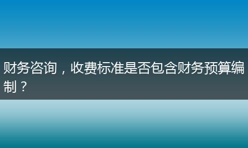 财务咨询，收费标准是否包含财务预算编制？