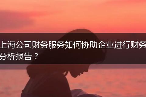 上海公司财务服务如何协助企业进行财务分析报告？