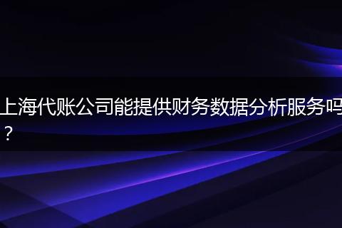 上海代账公司能提供财务数据分析服务吗？