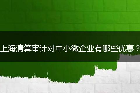 上海清算审计对中小微企业有哪些优惠？