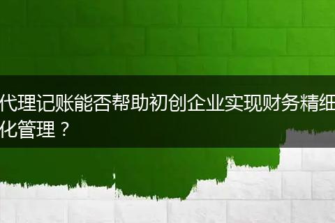 代理记账能否帮助初创企业实现财务精细化管理？