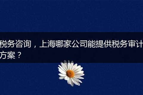 税务咨询，上海哪家公司能提供税务审计方案？
