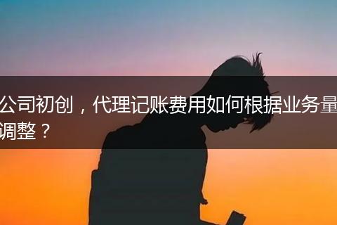 公司初创，代理记账费用如何根据业务量调整？