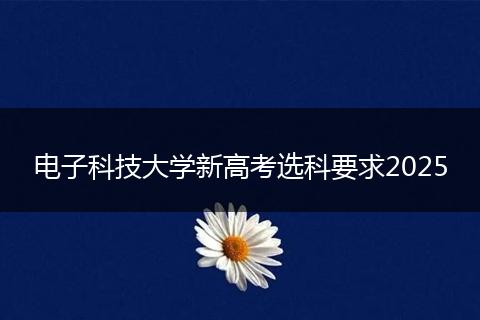 电子科技大学新高考选科要求2025