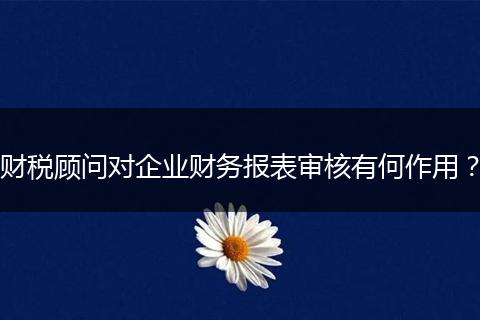 财税顾问对企业财务报表审核有何作用？