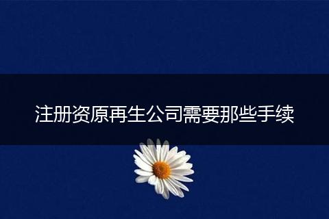 注册资原再生公司需要那些手续