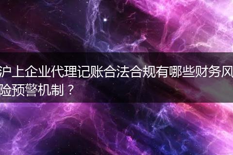 沪上企业代理记账合法合规有哪些财务风险预警机制？