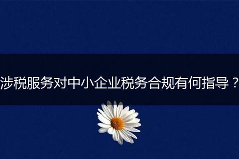 涉税服务对中小企业税务合规有何指导？