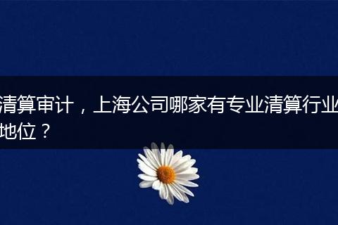 清算审计，上海公司哪家有专业清算行业地位？