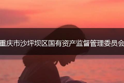 重庆市沙坪坝区国有资产监督管理委员会