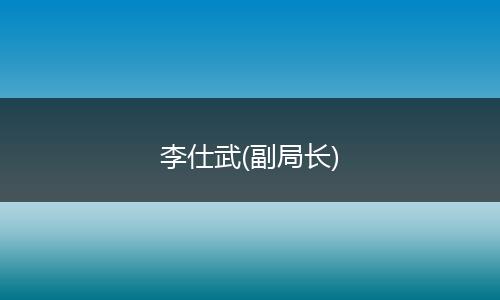 李仕武(副局长)