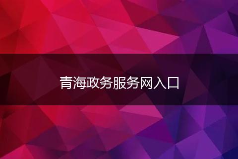 青海政务服务网入口