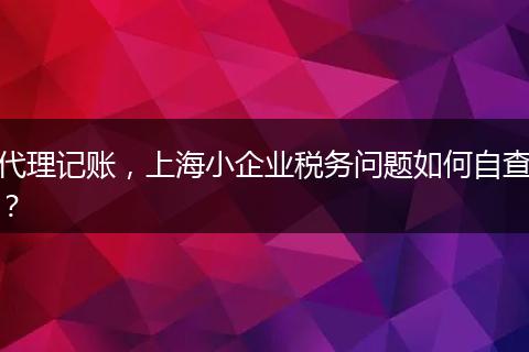代理记账，上海小企业税务问题如何自查？
