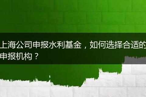 上海公司申报水利基金，如何选择合适的申报机构？