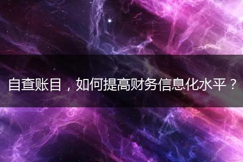 自查账目，如何提高财务信息化水平？